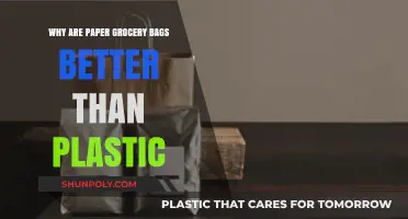 Eco-Friendly Choice: Why Paper Grocery Bags Outshine Plastic Alternatives