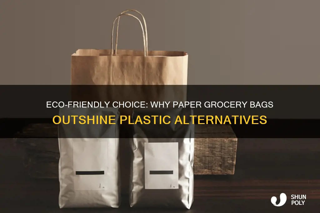 why are paper grocery bags better than plastic