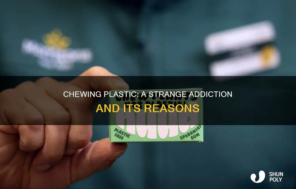 why are people chewing on plastic