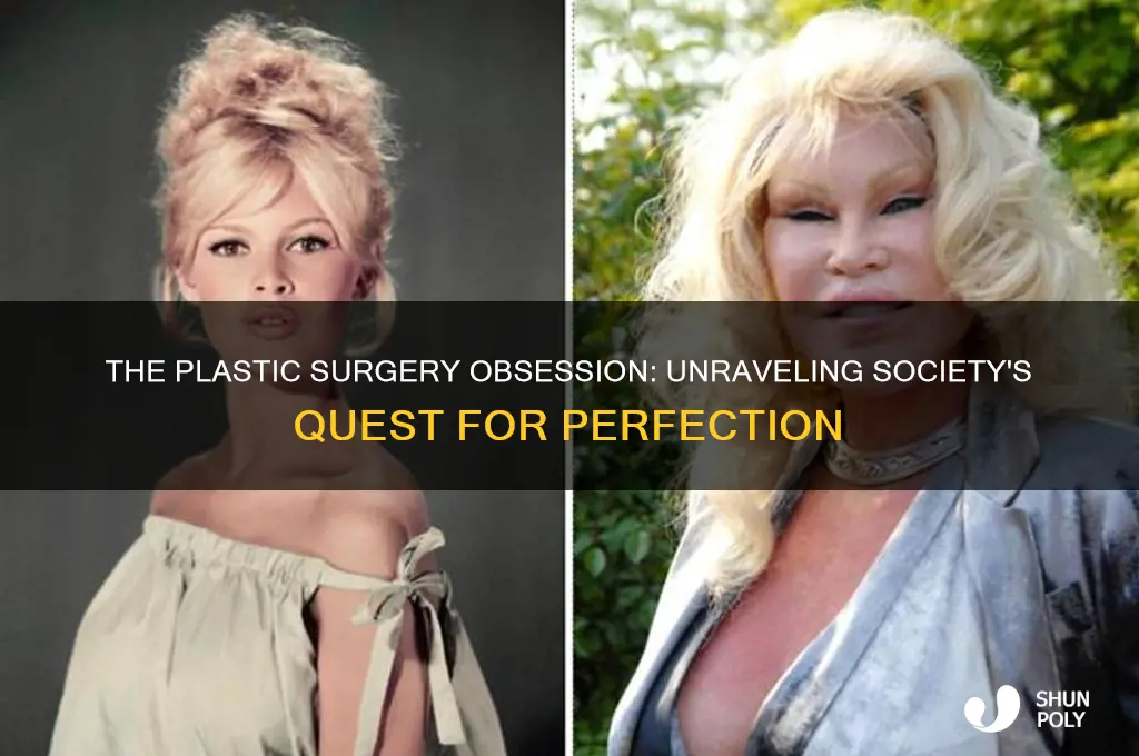 why are people obsessed with plastic surgery