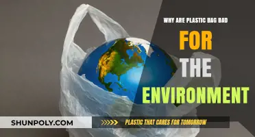 Plastic Bags' Environmental Impact: Harmful Effects and Sustainable Alternatives