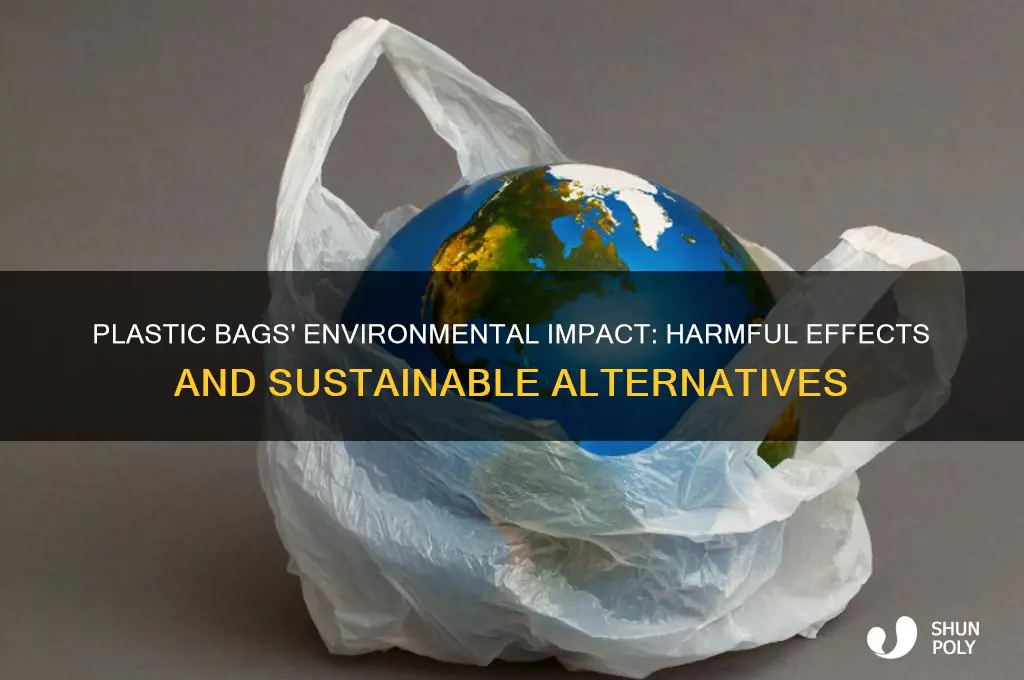 why are plastic bag bad for the environment