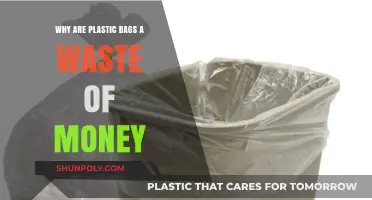 Plastic Bags: Costly, Harmful, and Unnecessary for Modern Living
