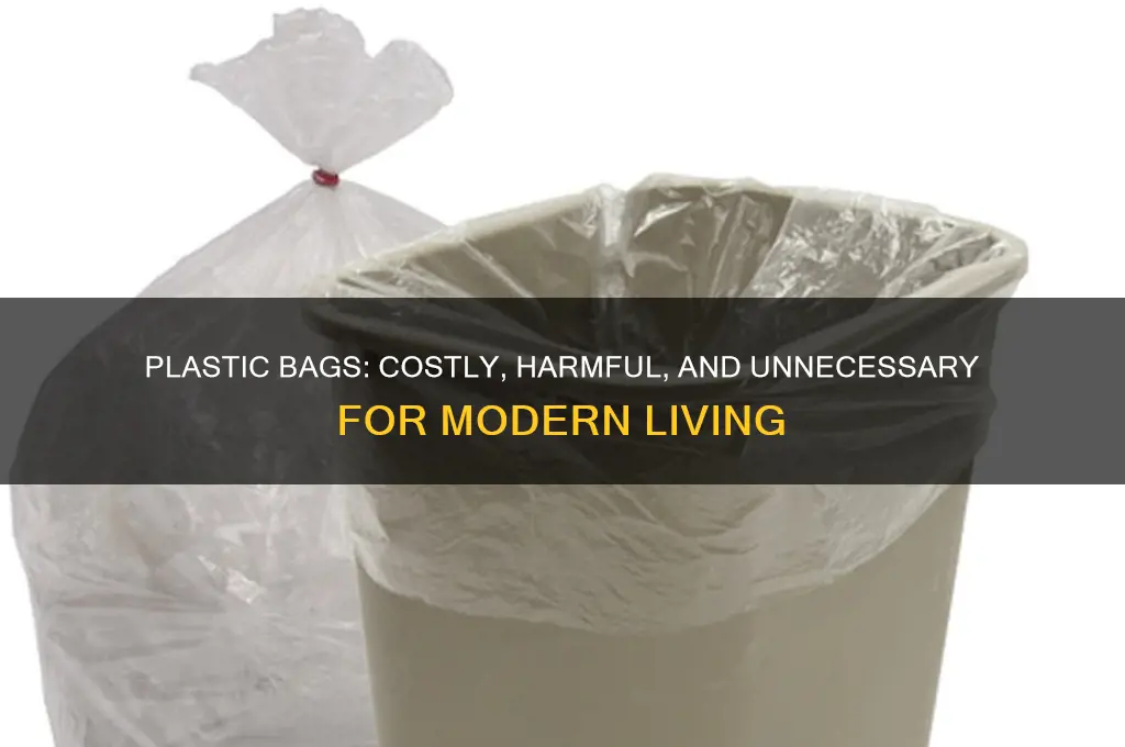 why are plastic bags a waste of money