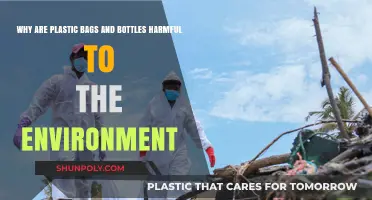 Plastic Bags and Bottles: Their Devastating Environmental Impact Explained