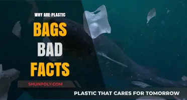 The Harmful Truth: Why Plastic Bags Are Bad for Our Planet