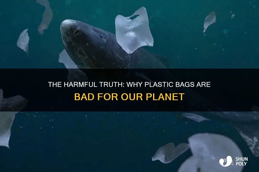 why are plastic bags bad facts