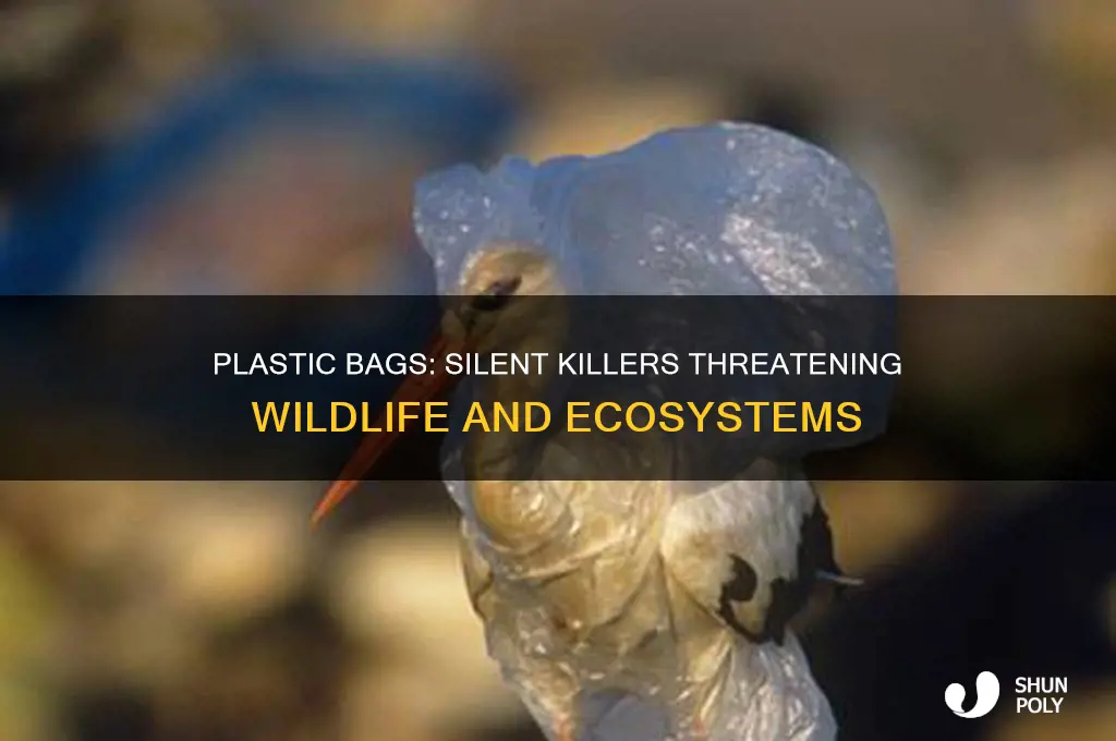 why are plastic bags bad for animals