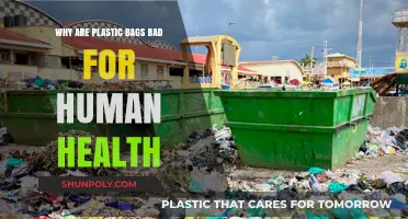 Plastic Bags' Hidden Dangers: How They Harm Human Health