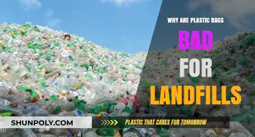 Plastic Bags in Landfills: Environmental Hazards and Sustainable Alternatives