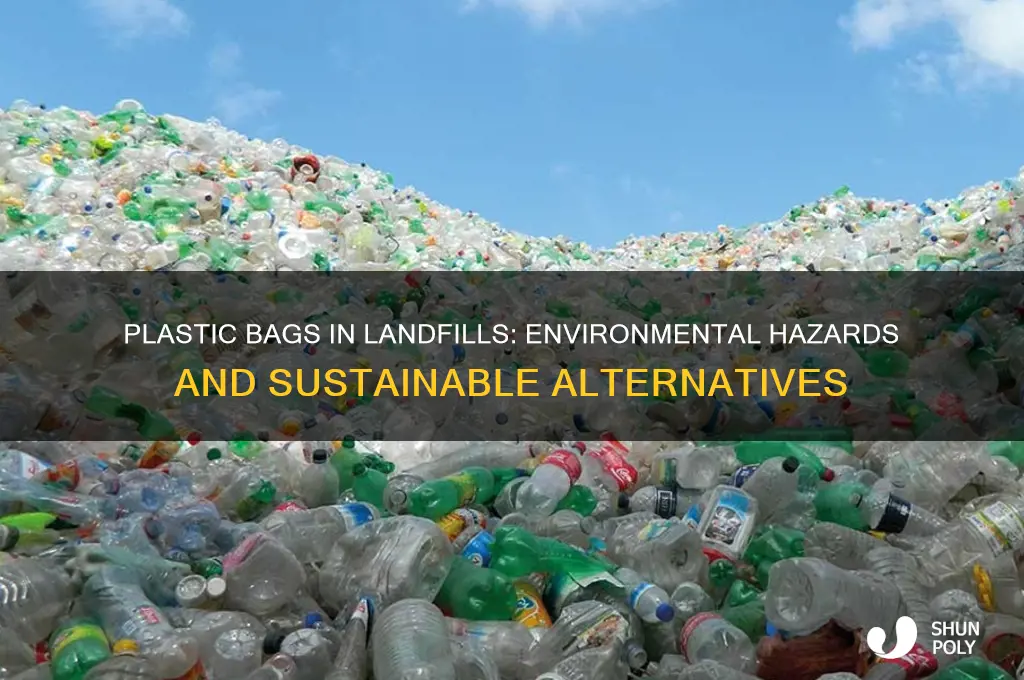 why are plastic bags bad for landfills