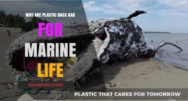 Plastic Bags' Deadly Impact: Threatening Marine Ecosystems and Wildlife Survival