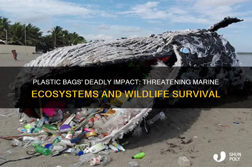 why are plastic bags bad for marine life