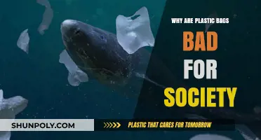 The Harmful Impact of Plastic Bags on Our Environment and Society