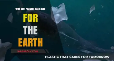 Plastic Bags' Harmful Impact: Environmental Dangers and Sustainable Alternatives