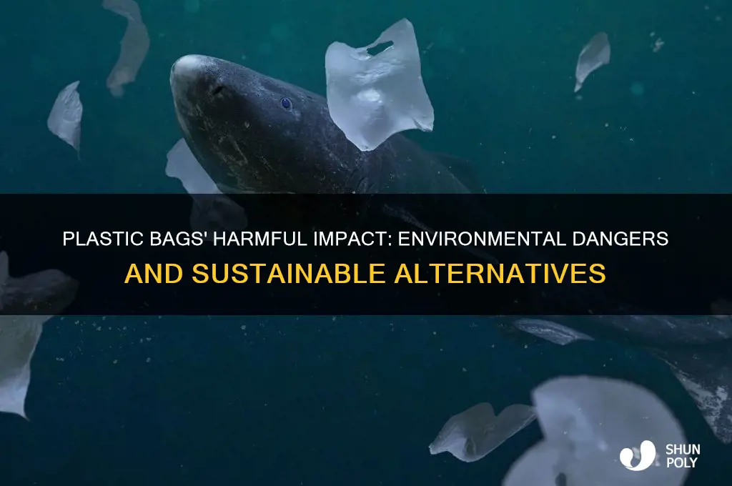 why are plastic bags bad for the earth