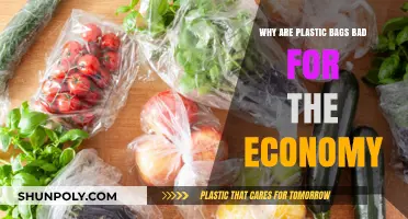 Plastic Bags' Hidden Costs: Economic Downsides of Single-Use Convenience