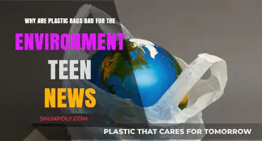 Plastic Bags' Harmful Impact: Teen News on Environmental Dangers