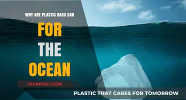 Plastic Bags in the Ocean: Devastating Impacts and Urgent Solutions