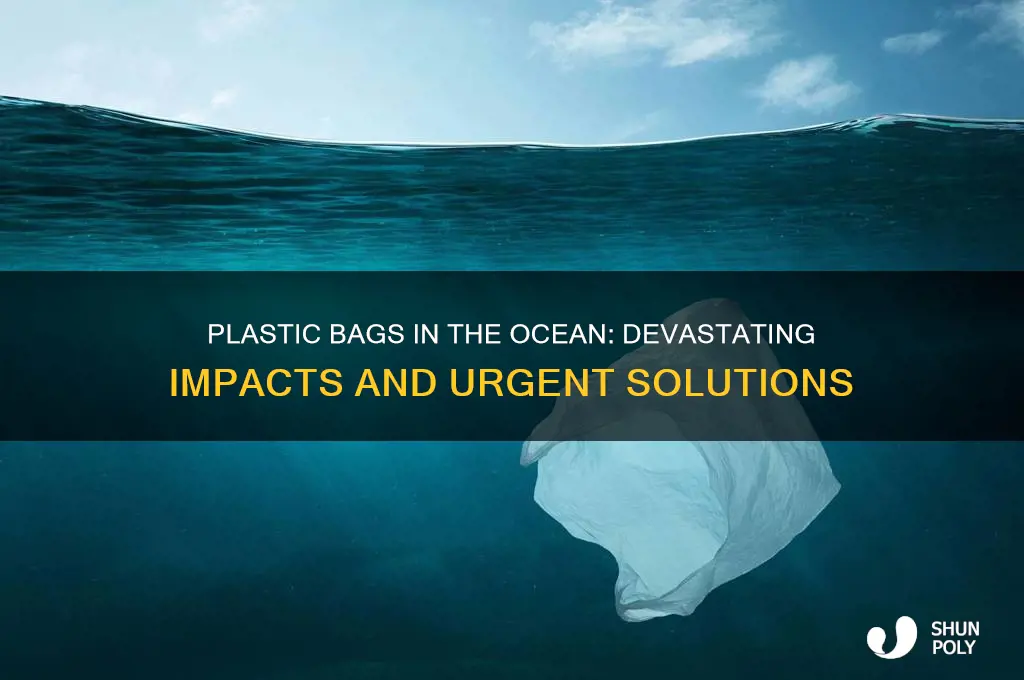 why are plastic bags bad for the ocean