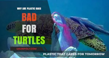 Plastic Bags Threaten Turtles: Understanding the Deadly Environmental Impact