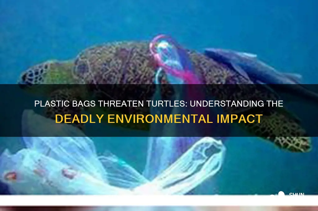 why are plastic bags bad for turtles
