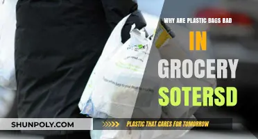 Plastic Bags in Grocery Stores: Harmful Impacts and Eco-Friendly Alternatives