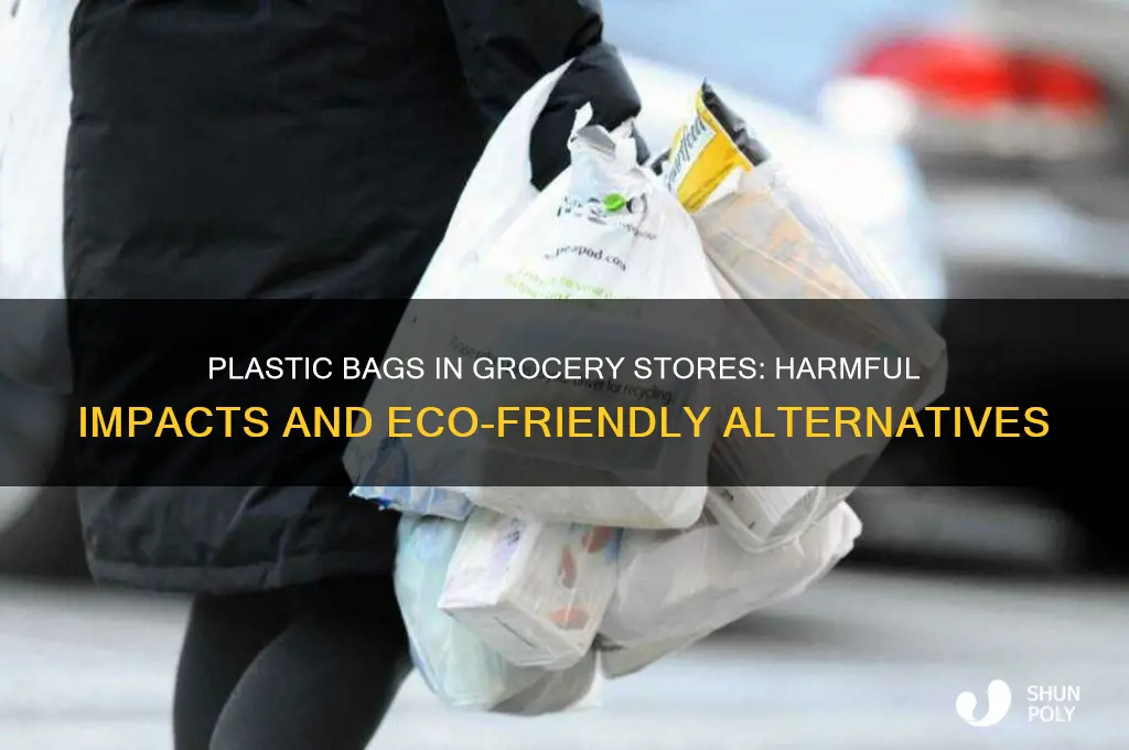 why are plastic bags bad in grocery sotersd