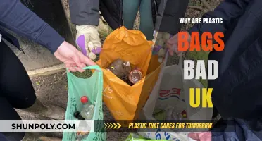 The Environmental Impact of Plastic Bags in the UK