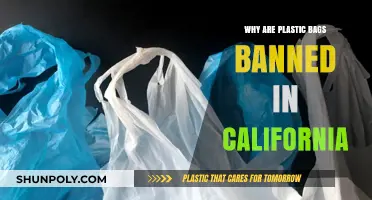 California's Plastic Bag Ban: Environmental Impact and Sustainable Alternatives