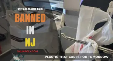 NJ's Plastic Bag Ban: Environmental Impact and Sustainable Alternatives