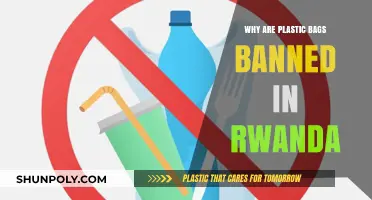 Rwanda's Plastic Bag Ban: Environmental Impact and Sustainable Alternatives