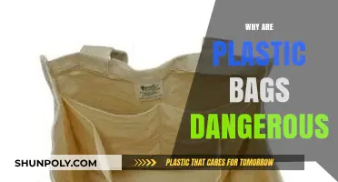 The Hidden Dangers of Plastic Bags: Environmental and Health Risks