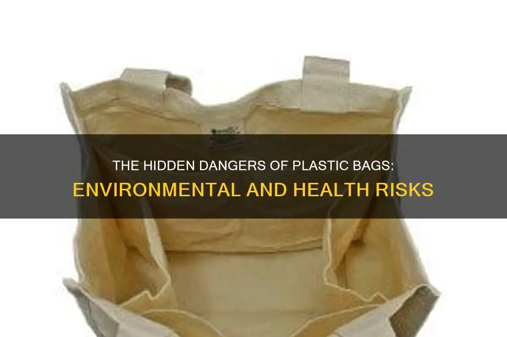 why are plastic bags dangerous
