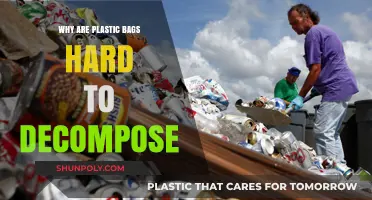 The Persistent Problem: Why Plastic Bags Resist Decomposition