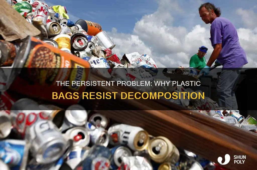 why are plastic bags hard to decompose