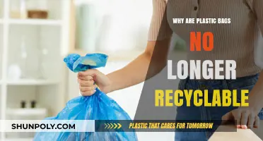 The End of Recycling: Why Plastic Bags Are Now Waste