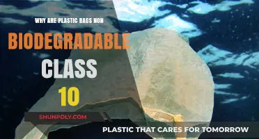Why Plastic Bags Are Non-Biodegradable: A Class 10 Explained