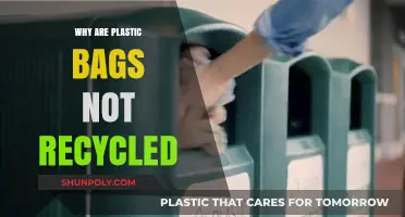 The Hidden Truth: Why Plastic Bags Rarely Get Recycled