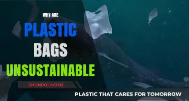 The Environmental Impact: Why Plastic Bags Harm Our Planet