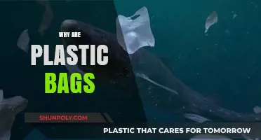The Environmental Impact of Plastic Bags: Harmful Effects Explained