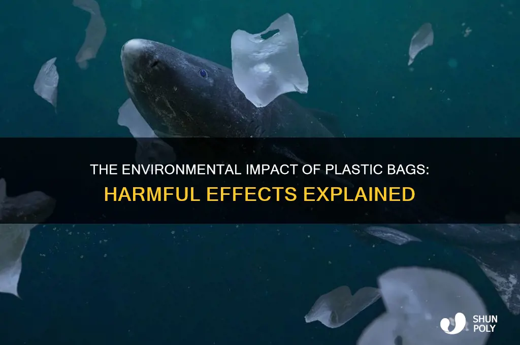 why are plastic bags