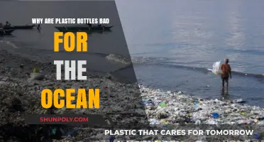Plastic Bottles in the Ocean: Harmful Impacts and Environmental Consequences
