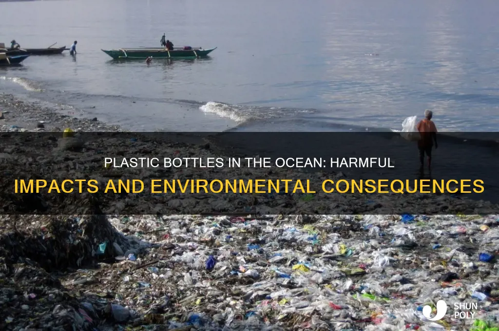 why are plastic bottles bad for the ocean