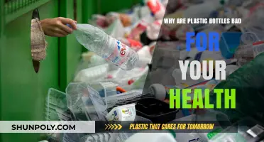 Plastic Bottles: Hidden Health Risks and Safer Alternatives Revealed
