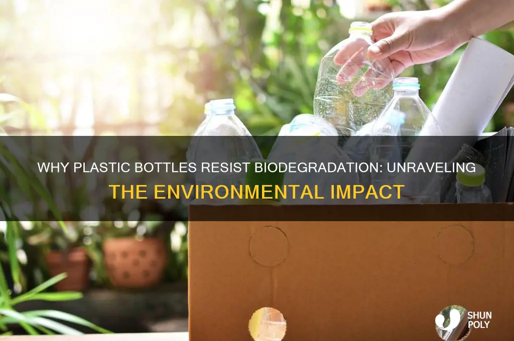 why are plastic bottles non biodegradable