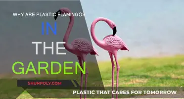 The Mystery of Pink Flamingos in Gardens