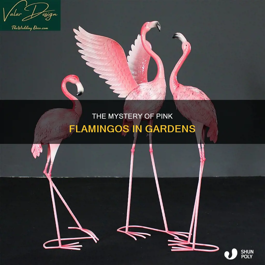 why are plastic flamingos in the garden