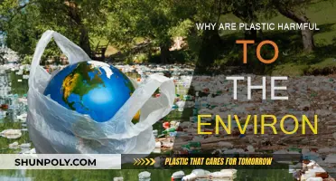 Plastic Pollution: Harming Our Planet, Our Health