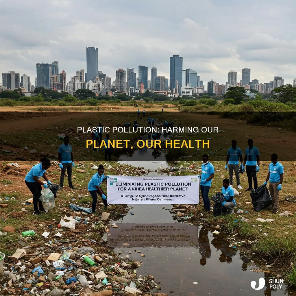 why are plastic harmful to the environment